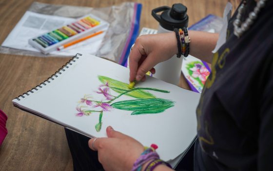 closeup of youth doing a botanical drawing