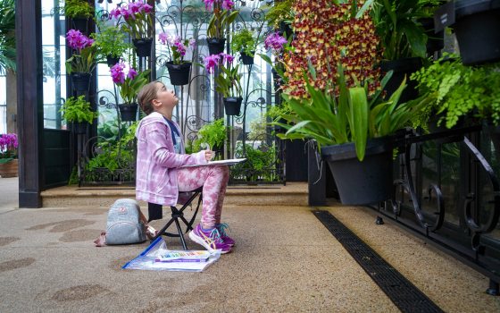 A young person sits with a sketchpad on their lap, a set of oil pastels on the floor beside them, looking up at a wall filled with orchids.