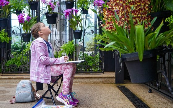 A young person sits with a sketchpad on their lap, a set of oil pastels on the floor beside them, looking up at a wall filled with orchids.