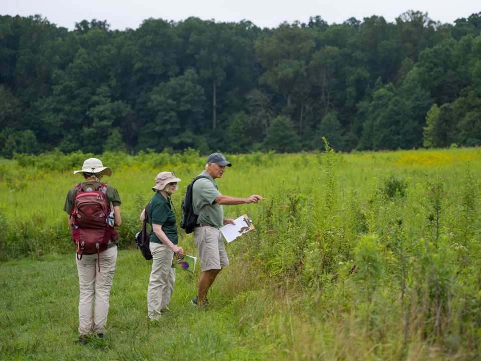 Three people holding clipboards and wearing backpacks, in a meadow looking at plants.