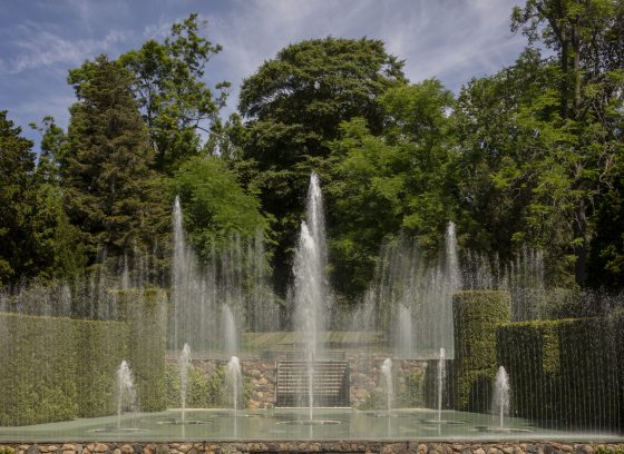 symmetrical fountain jets in front of a green backdrop of trees