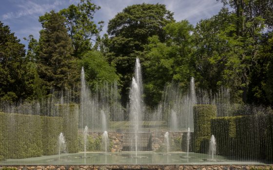 symmetrical fountain jets in front of a green backdrop of trees