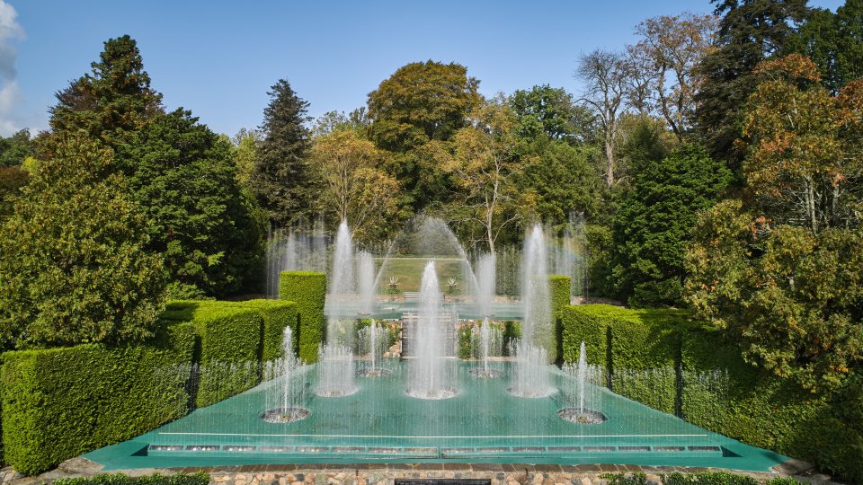 partially overhead view of fountain jets shooting up from a sea green stage, against a backdrop of tall green trees