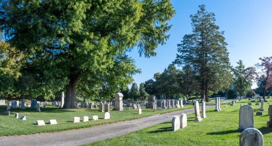 a cemetary with bright green grass, blue skies, and two large trees