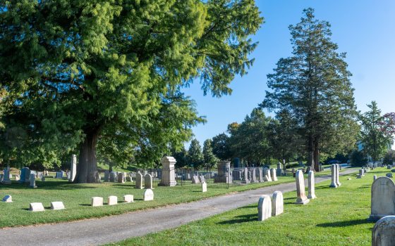 a cemetary with bright green grass, blue skies, and two large trees