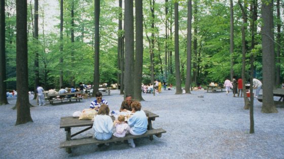 Families and friends sit at picnic tables among tall trees.