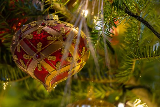 a red and gold ornament hanging on a christmas tree
