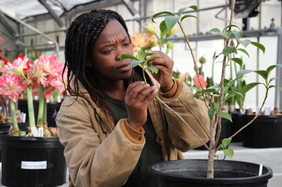 a person in a tan jacket working with leaves of a potted plant