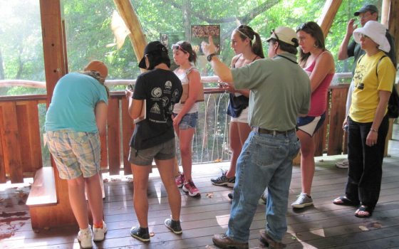 A group of peopel standing together in a large treehouse listening to a person talk.