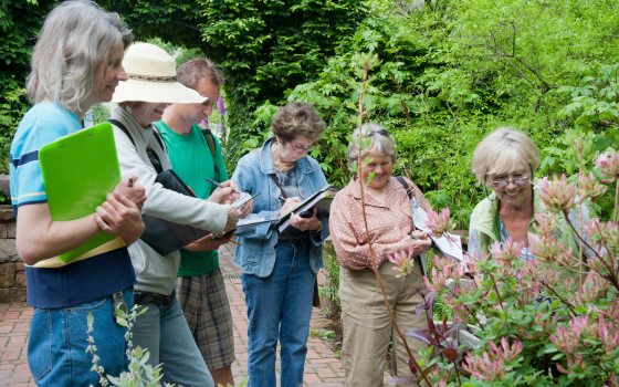 a group of people gather around a plant outside