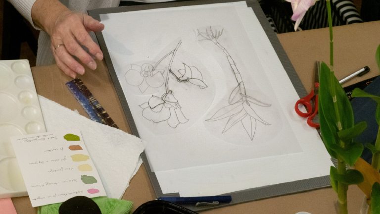 A person working on a pencil illustration of an orchid. 