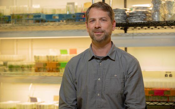 A man with blonde hair and a grey shirt sits near a research area with a microscope and plant samples