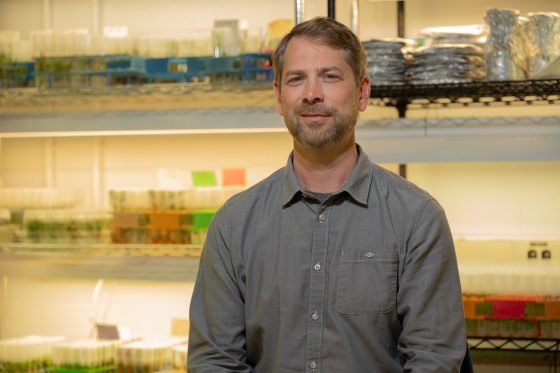 A man with blonde hair and a grey shirt sits near a research area with a microscope and plant samples