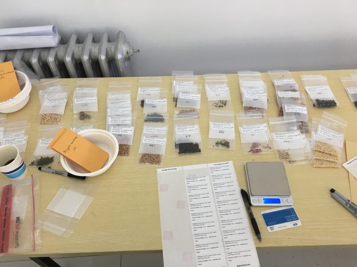 A variety of small baggies with seeds are organized on a desk. 
