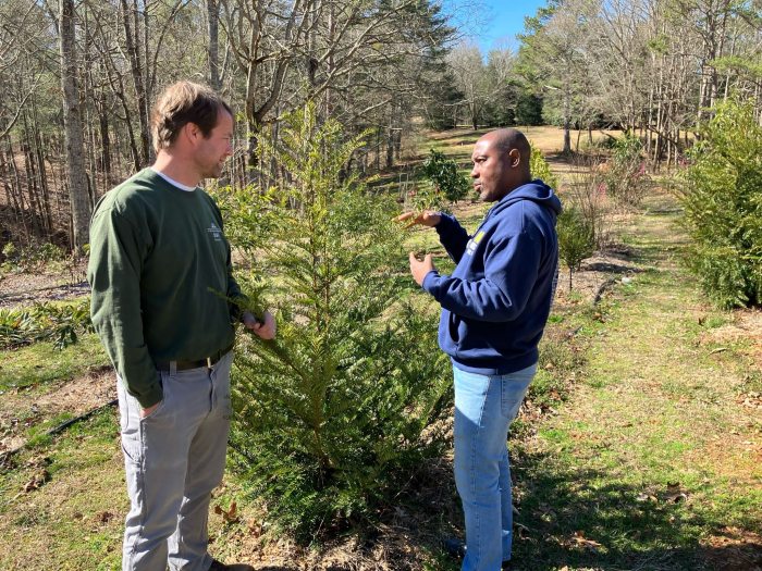 Two people standing on either side of a small tree talking.