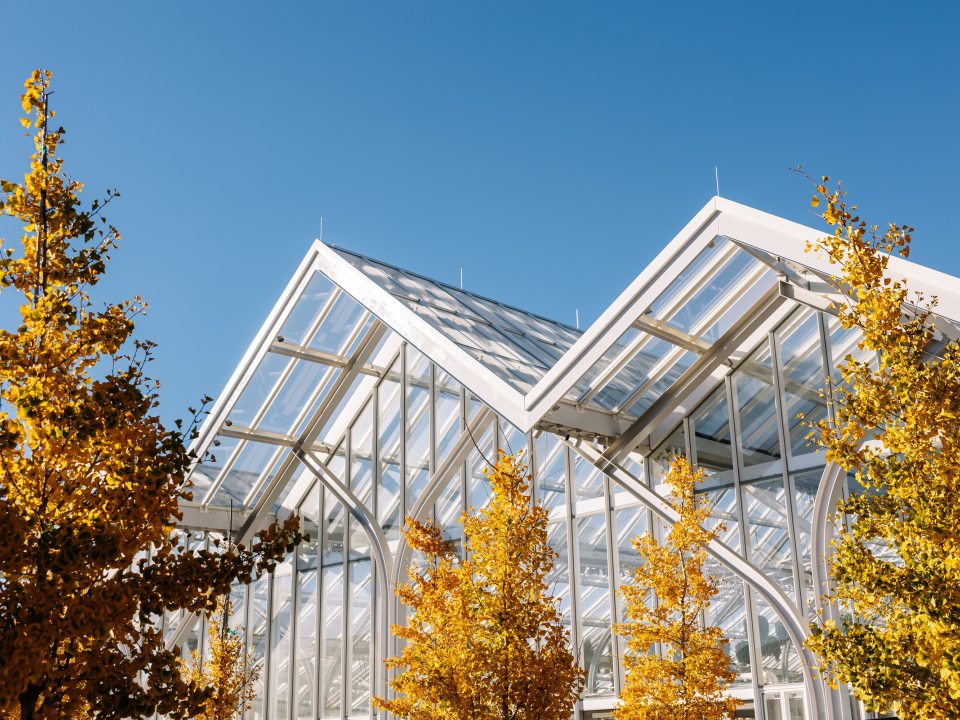 The roof peaks of the West Conservatory, featuring trees with yellow leaves in front. 