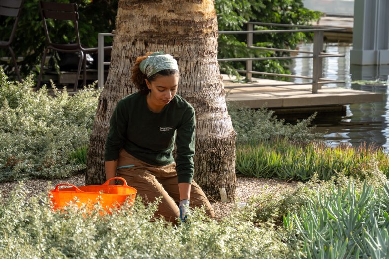 A person in a green shirt, and headscarf, kneeling down next to a garden bed.