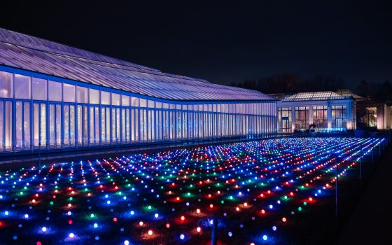 Outdoor lawn lights glow outside a glasshouse lit from within.