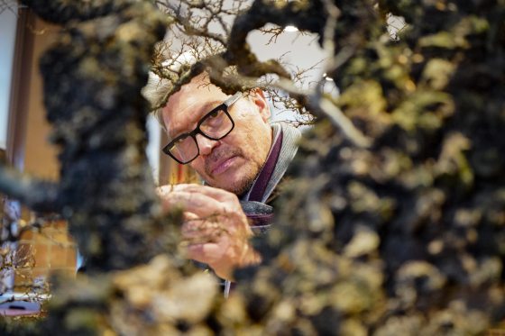 A close-up, artistic shot framed through the thick, textured branches of the bonsai. The man with glasses and a scarf is visible in the background, focused intently on the delicate work of pruning or styling the inner branches.