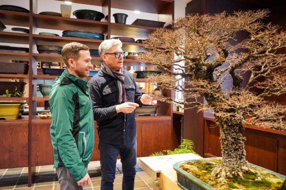 An indoor shot showing two people examining a large, intricately branched Cork Bark Elm bonsai. The man on the right, wearing a striped scarf and glasses, points toward the fine ramification of the branches. The background features deep wooden shelving filled with various bonsai pots.