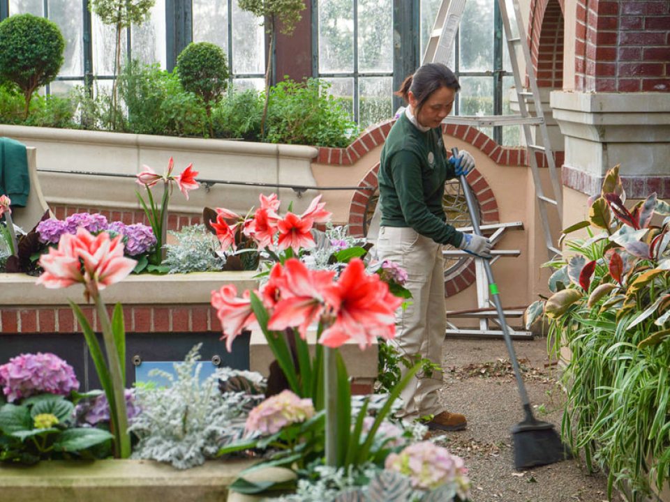 a person sweeping the floor inside of an indoor garden 