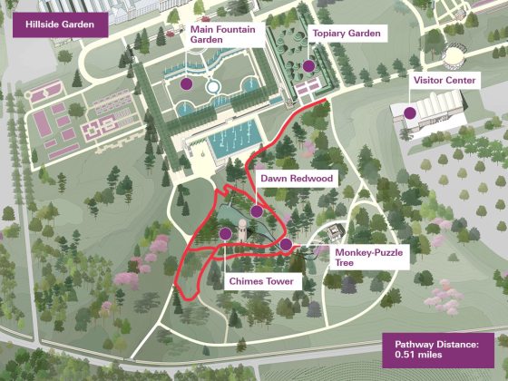 map of the Forest Walk at Longwood Gardens through the Hillside Garden
