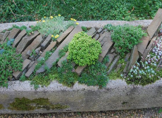 A stone block filled with small plantings.