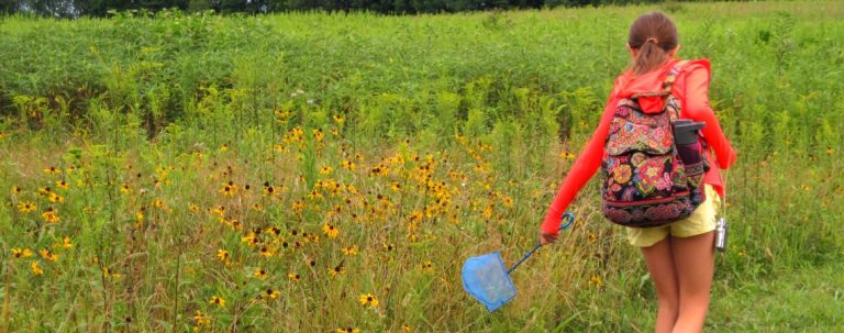 A child—with a ponytail, red zippered-warmup jacket, and colorful floral quilted backpack—skims a blue net along a meadow with yellow flowers in the foreground and taller green foliage in the background
